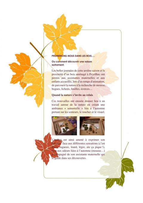 Article automne 1