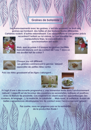 Germination graines peyrilhac 2
